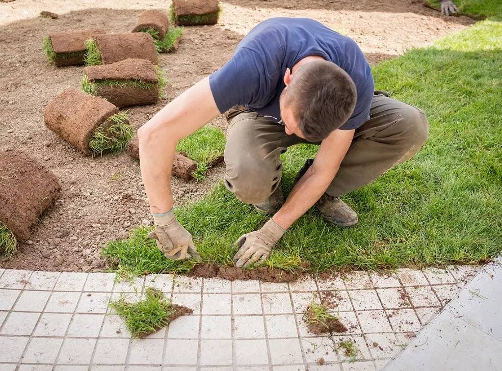 Find turfing companies near me