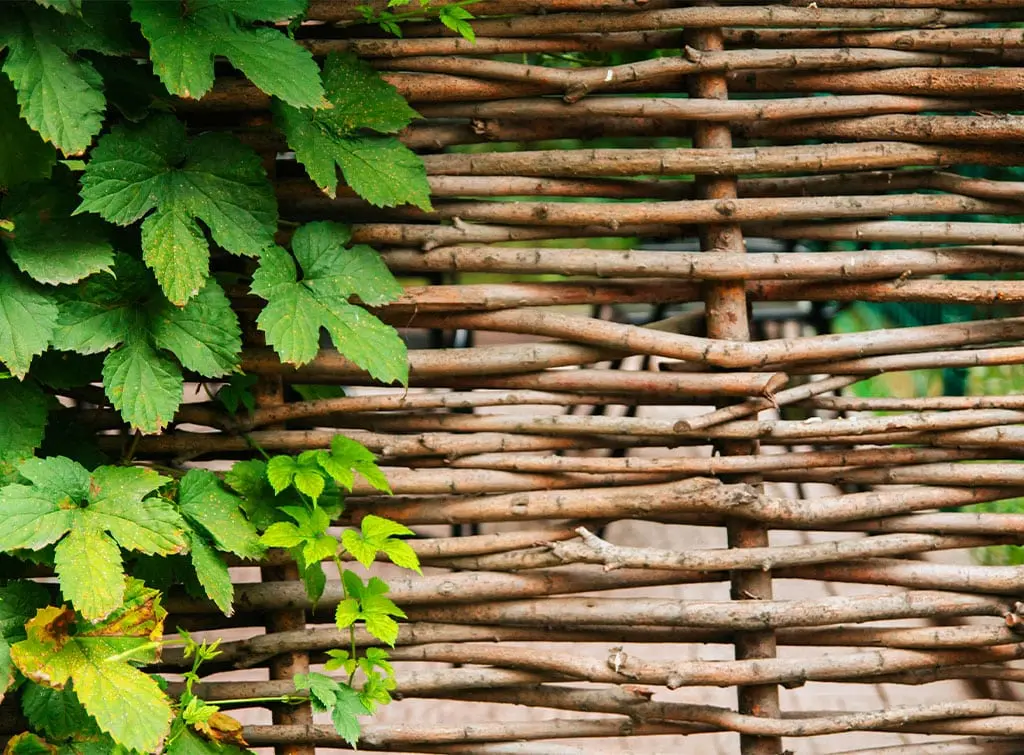 willow fence ideas