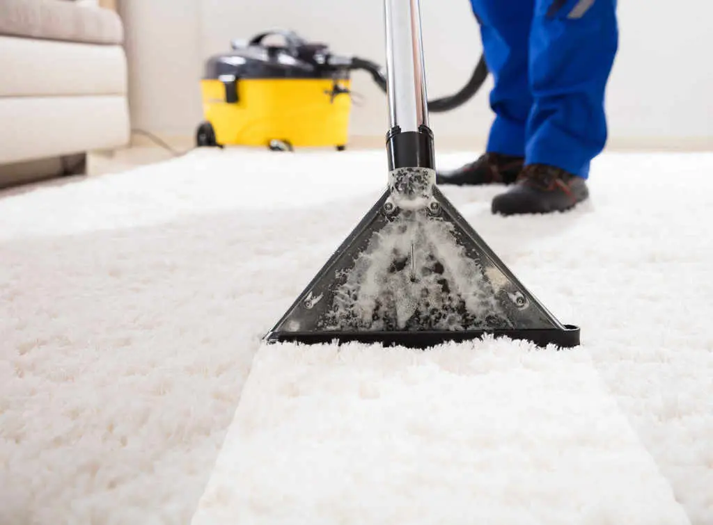 Professional carpet cleaning with extraction cleaner