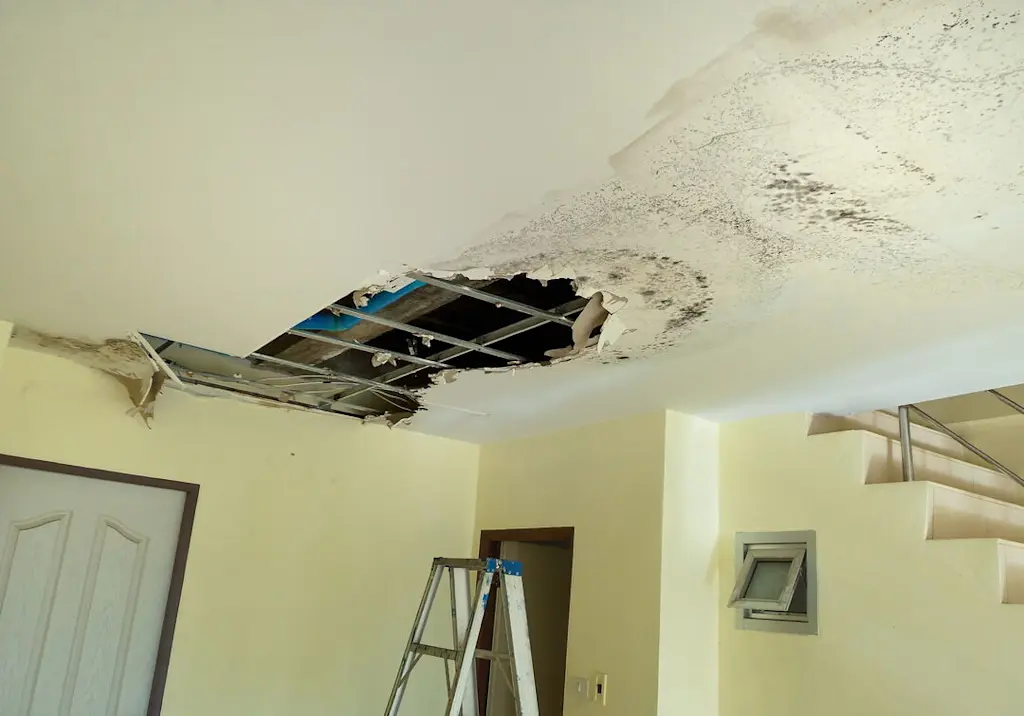 Ceiling water damage with mould resized