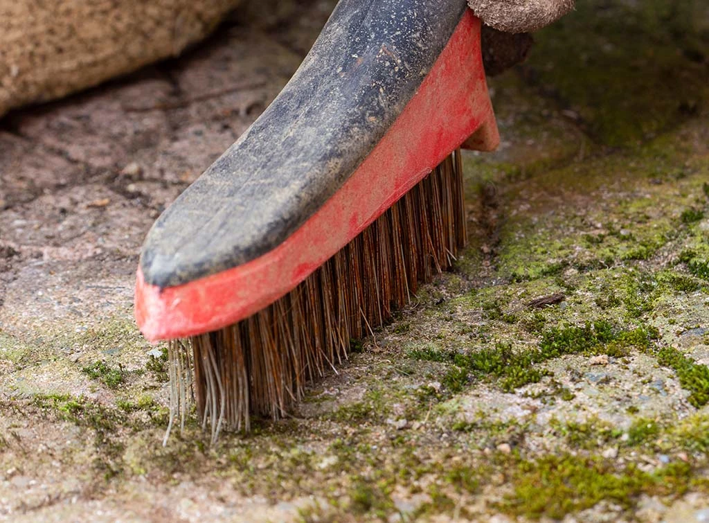 cleaning paving slabs with a scrubbing brush
