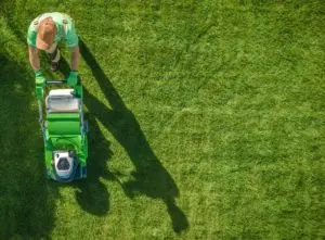 Gardener for hire mowing a lawn