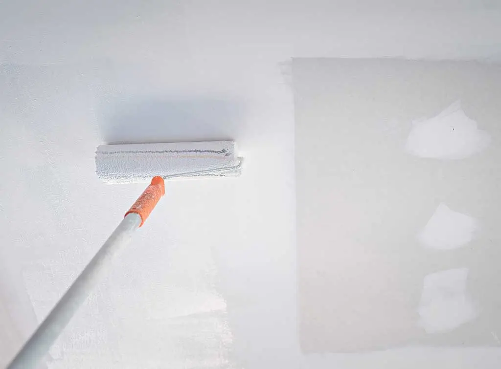 paint on new plaster