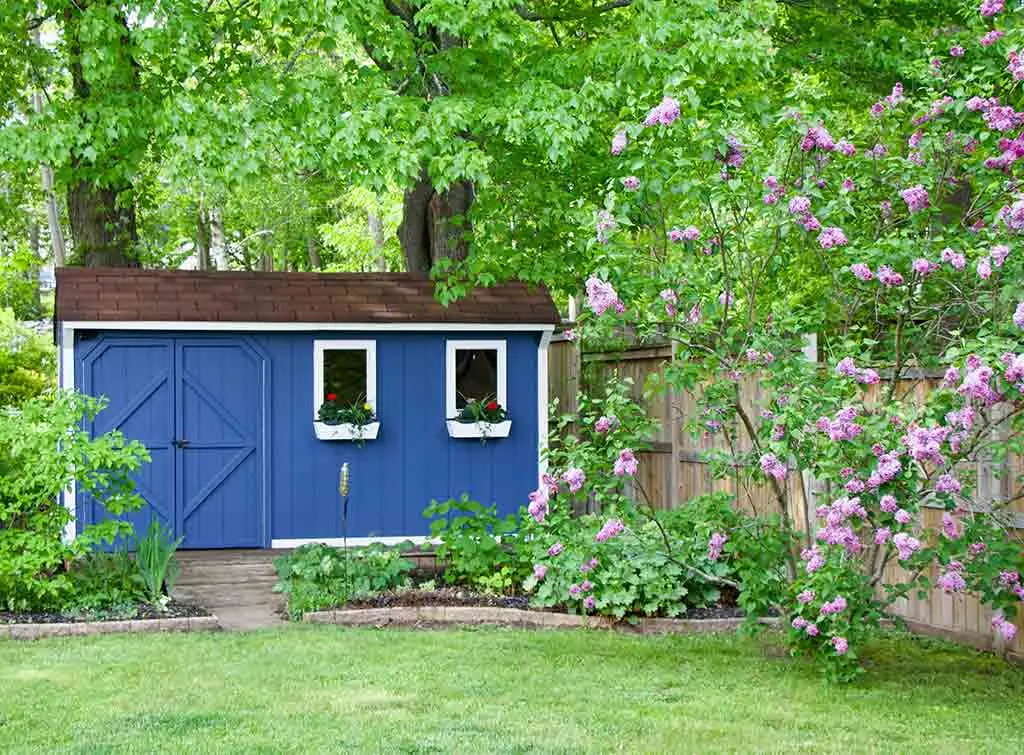 Blue barn shed with colourful design
