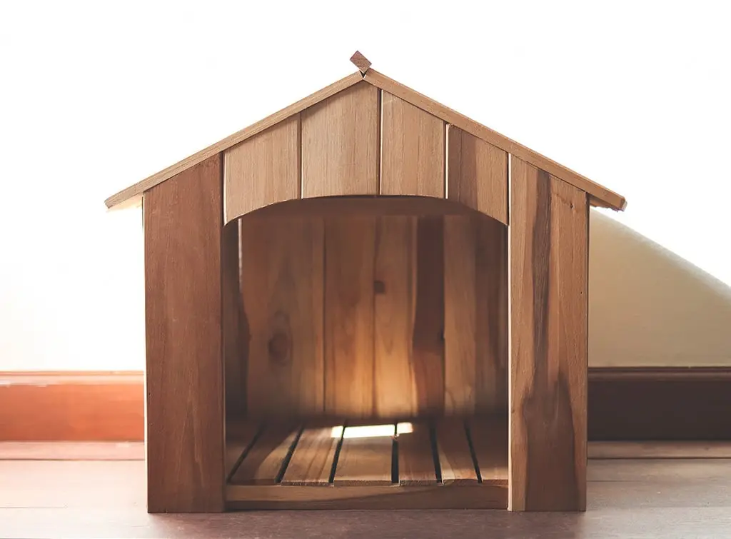 Indoor dog house