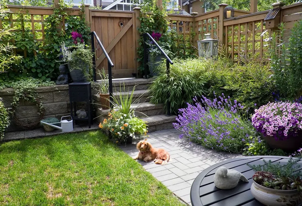 garden gate to complete look