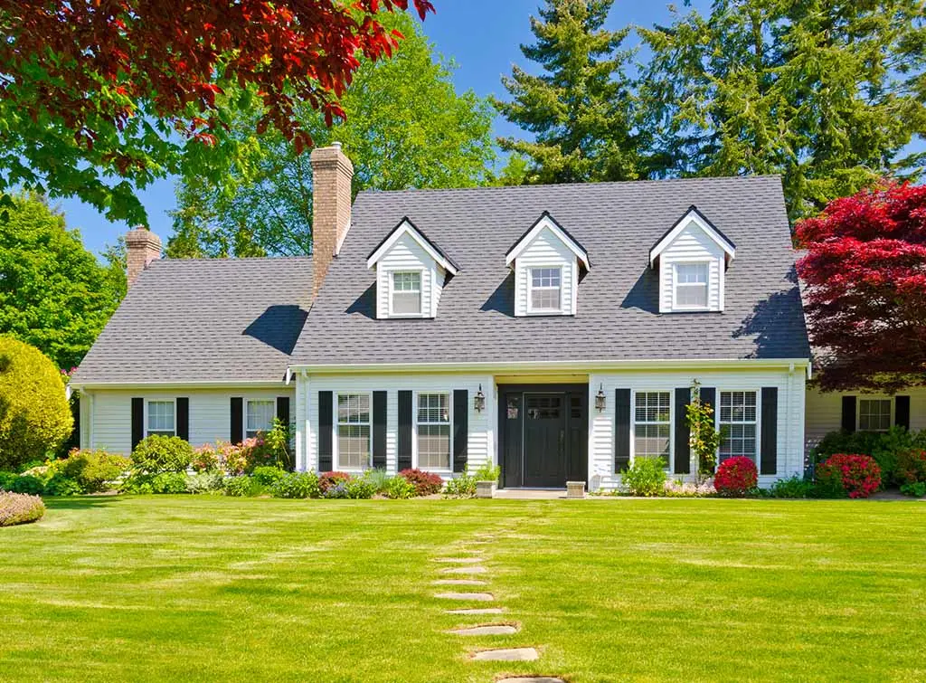 building near trees with preservation orders