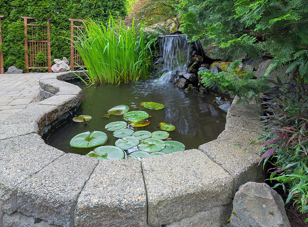 garden water feature