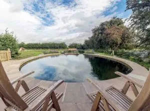 natural pool cost