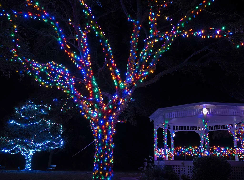 multicoloured lights for outdoor Christmas lighting ideas