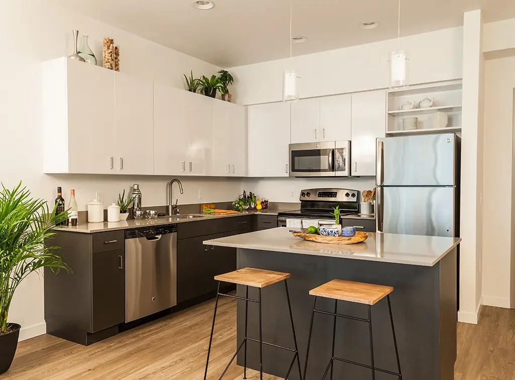 black and white kitchen design with island