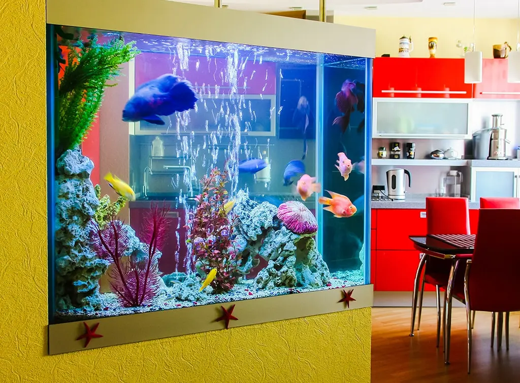fish tank in a kitchen design idea 