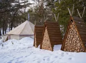 log store ideas
