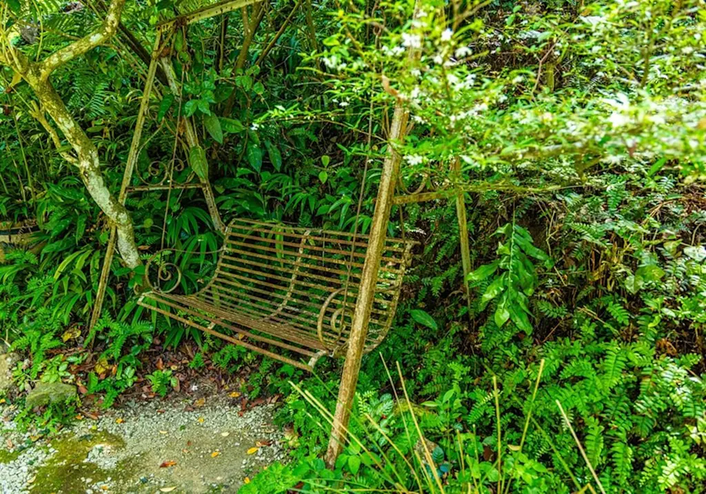 Overgrown garden swing