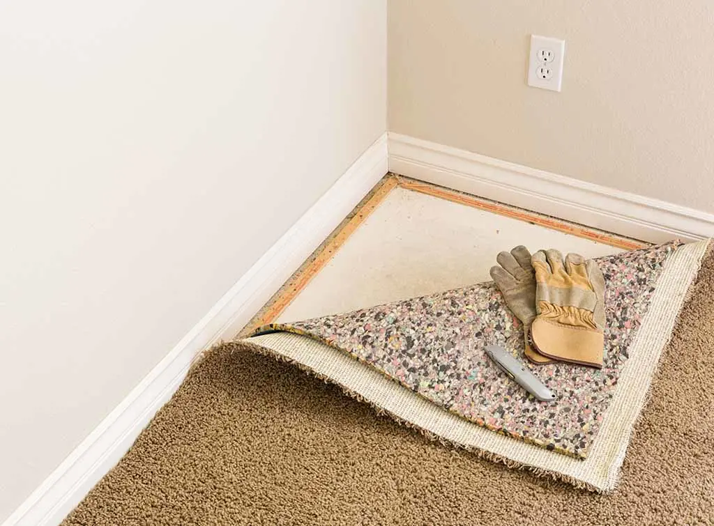 carpet gripper