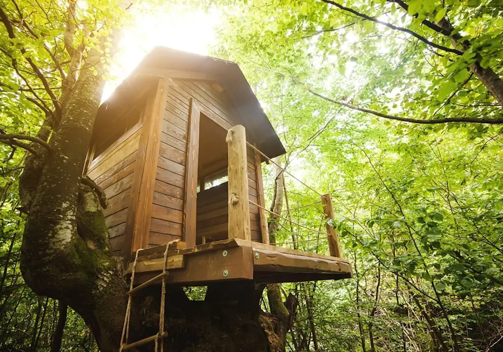 Treehouse in the woods