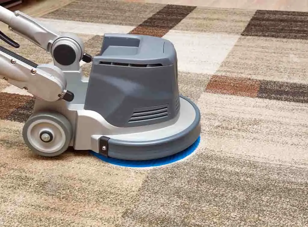 Rotary head carpet cleaner