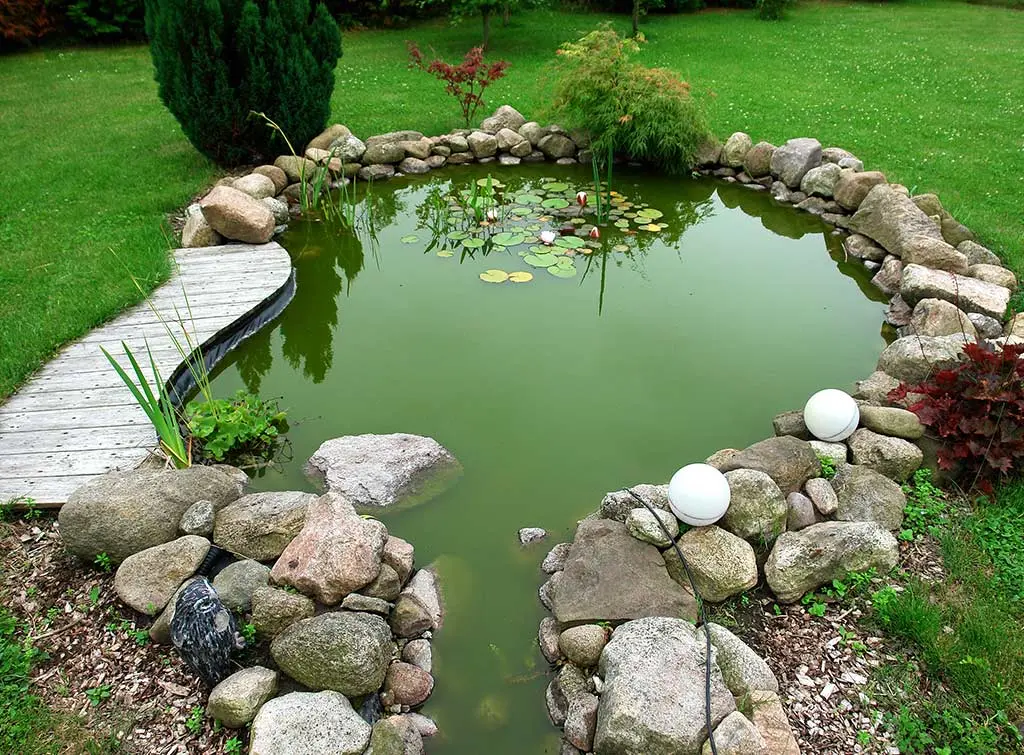 garden pond