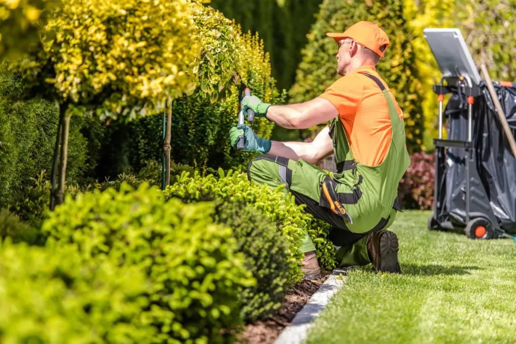 start a gardening business