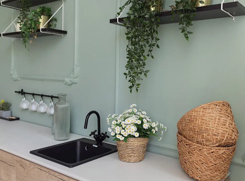 soft green walls and kitchen plants
