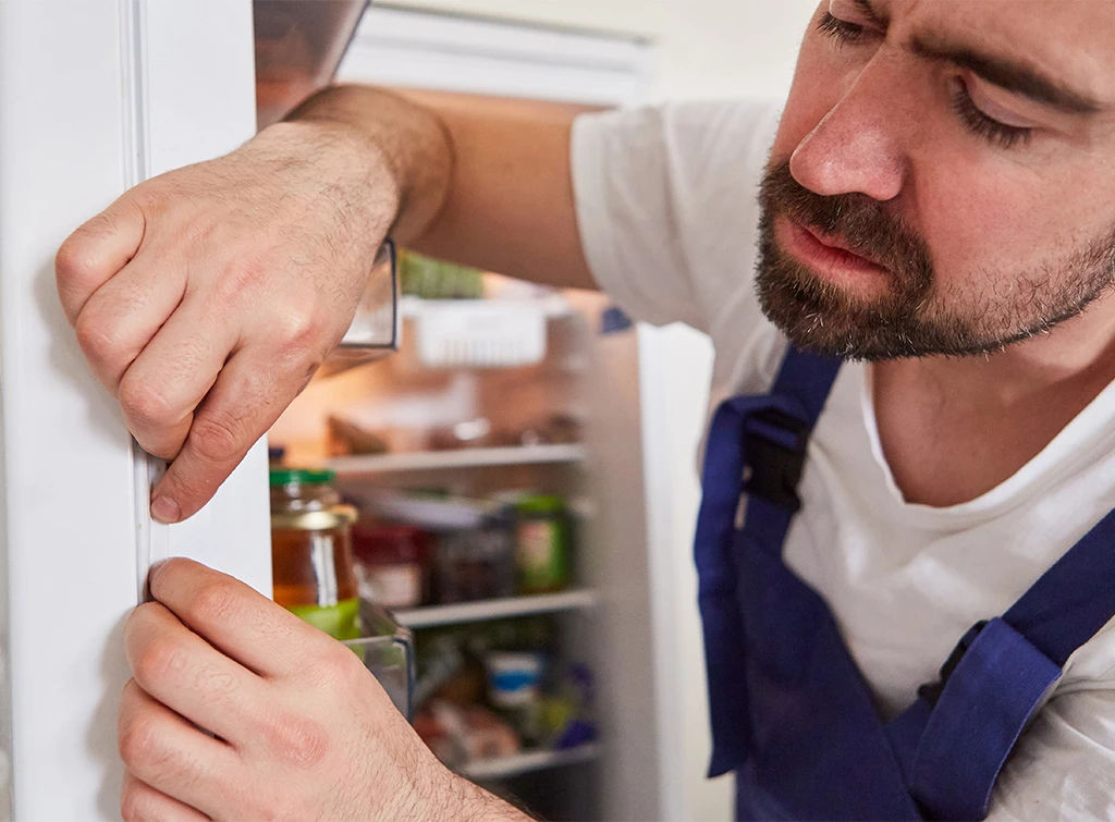 Maintaining your fridge door seal
