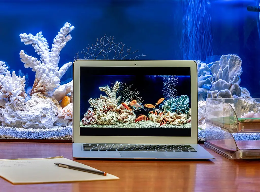 indoor fish tank in bedroom office