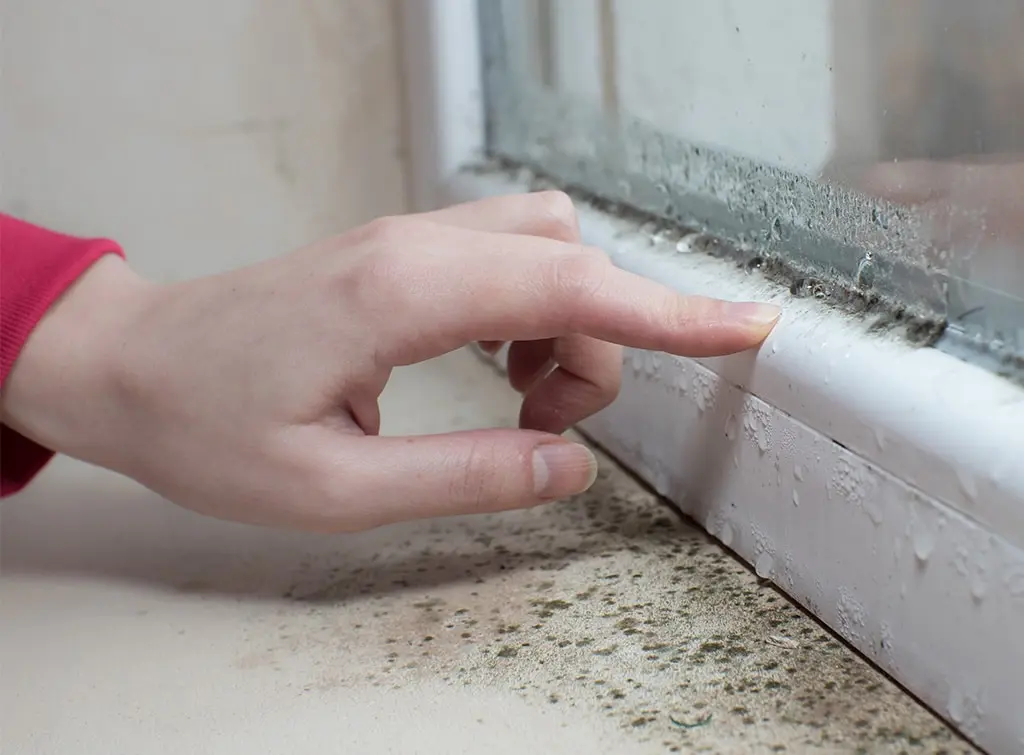 https://www.checkatrade.com/blog/wp-content/uploads/2021/07/trade-household-damp.jpg