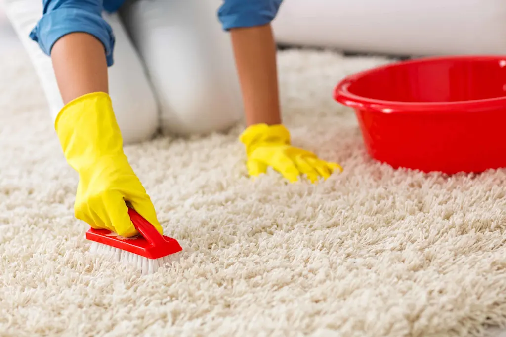 Cleaning carpet