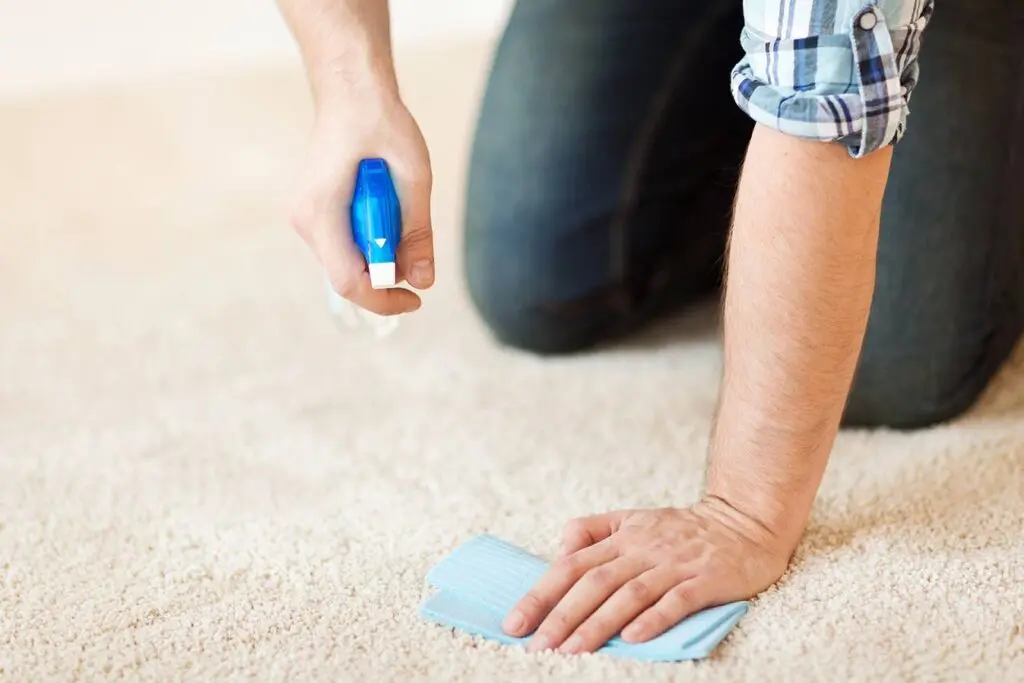 How to clean paint out of carpet