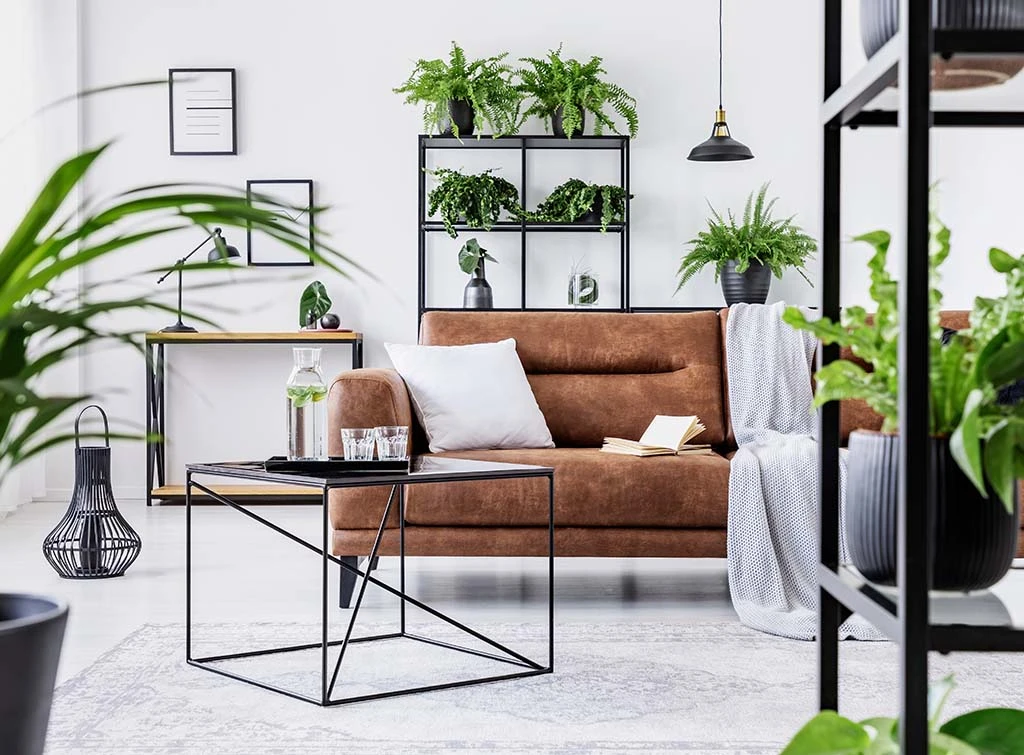 urban jungle modern living room