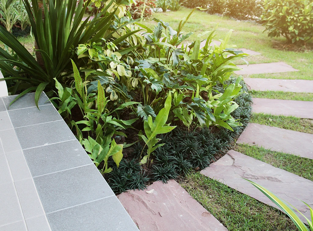 Paving ideas for your garden