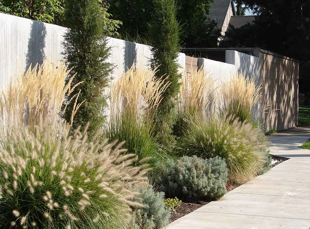 Garden borders with grasses