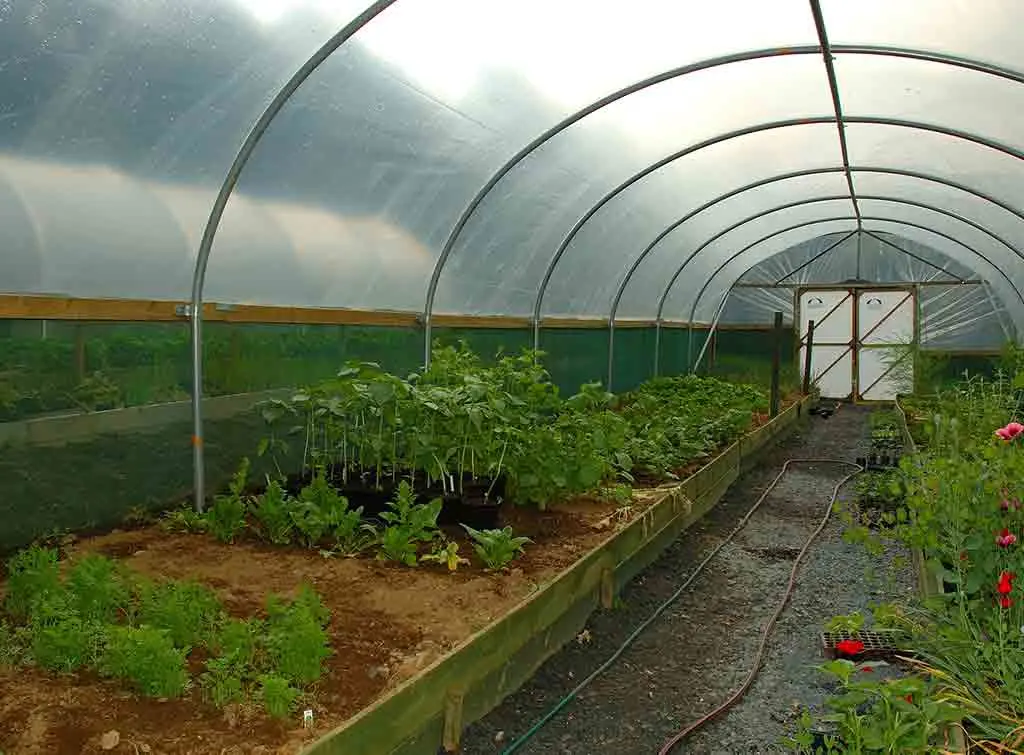 How much does a polytunnel cost