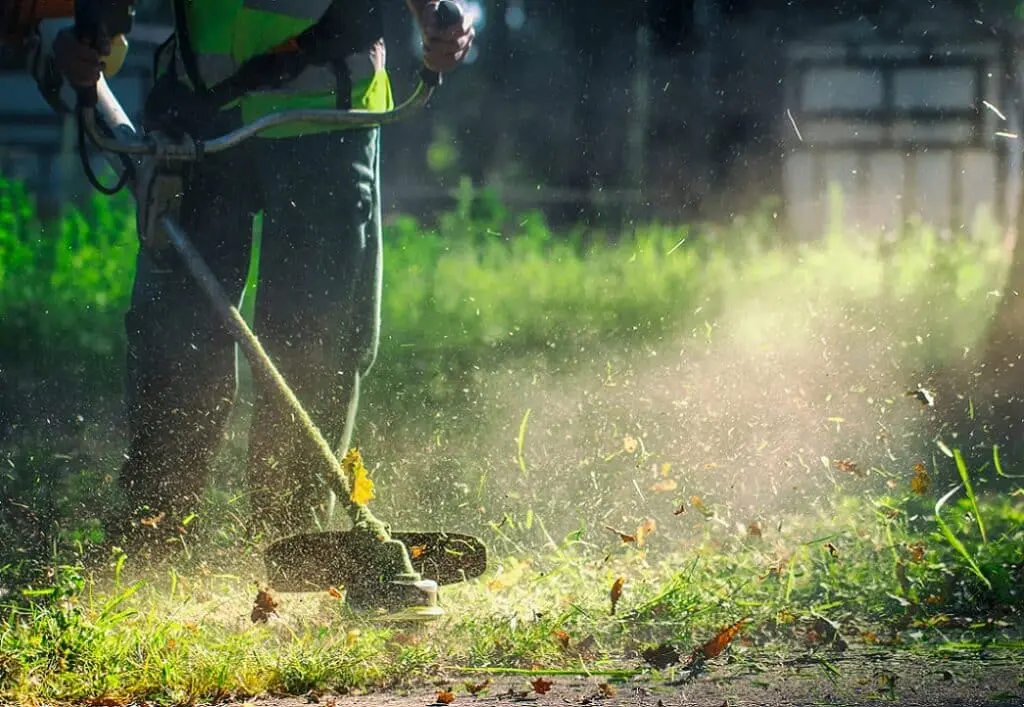 starting a grass cutting business