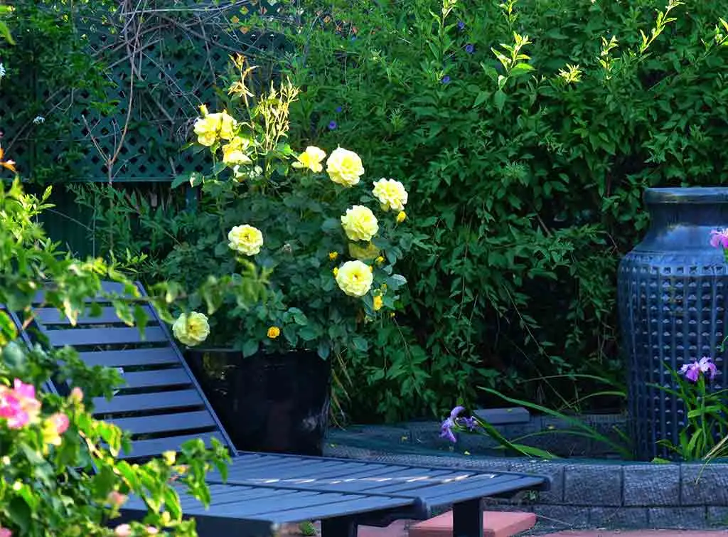 Small courtyard garden design