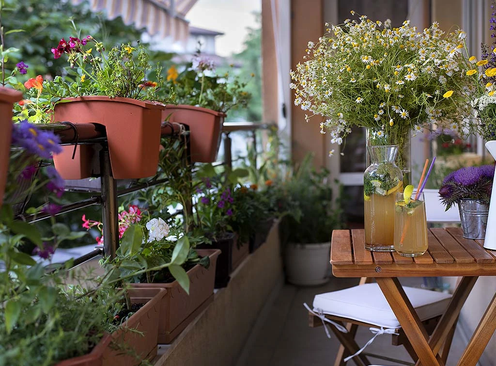 Mini greenhouse for plants