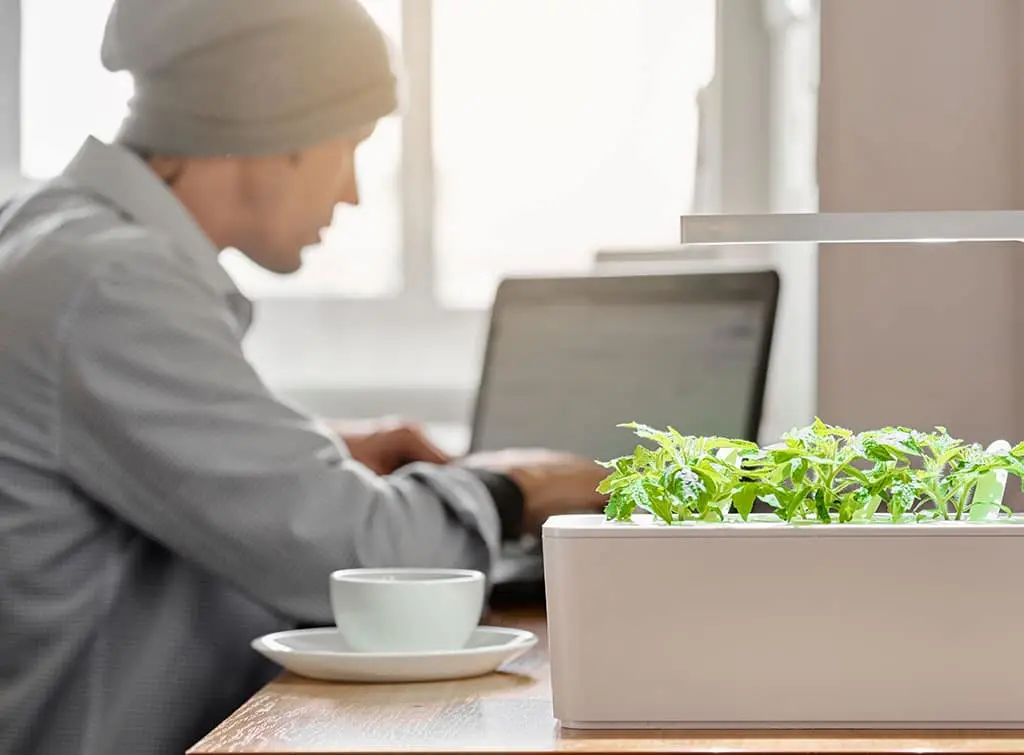 indoor smart garden