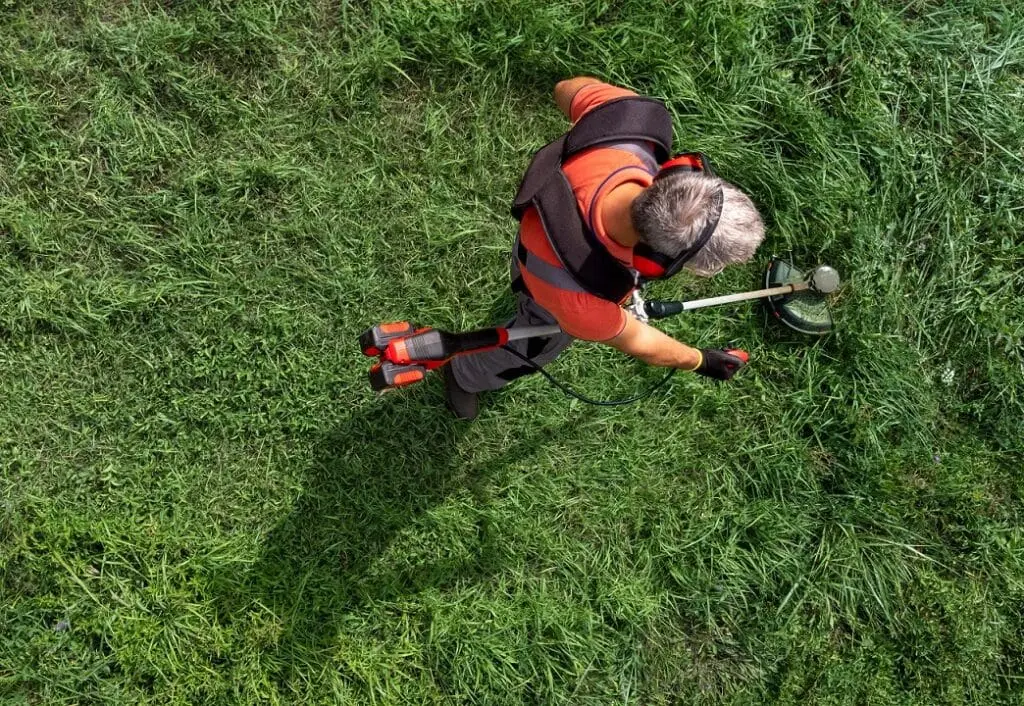 https://www.checkatrade.com/blog/wp-content/uploads/2024/06/is-grass-cutting-a-good-business-1024x706.jpeg