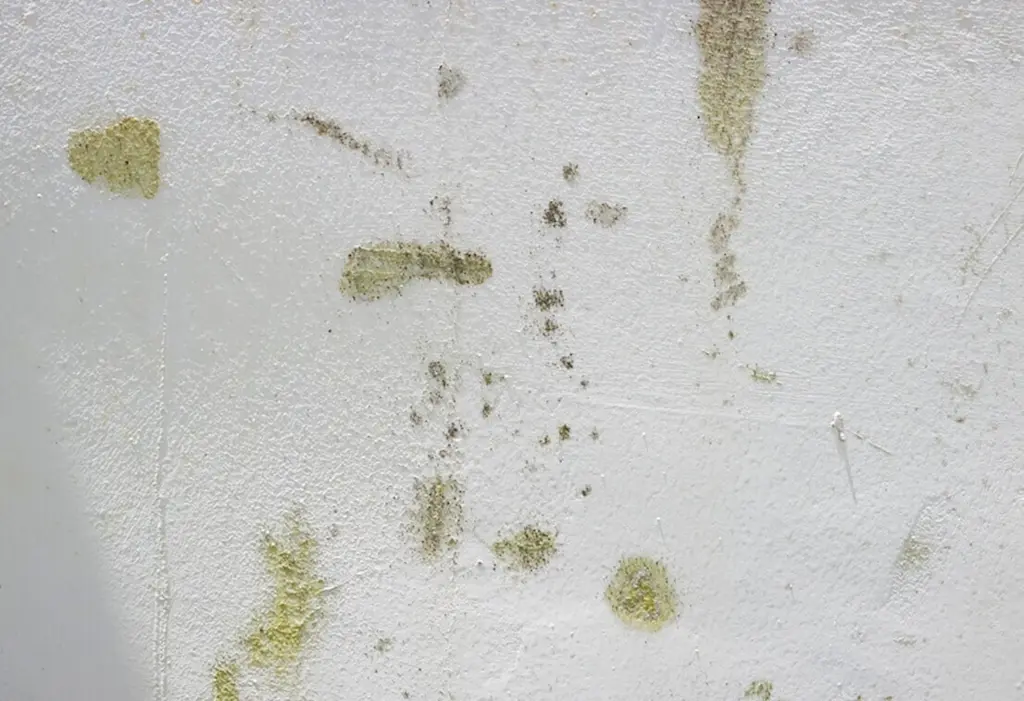 Dirty rendering needs cleaning