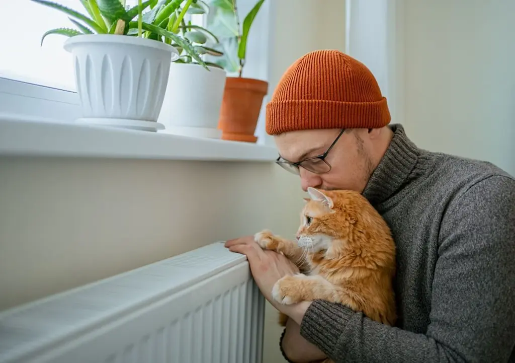 Checking radiator temperature