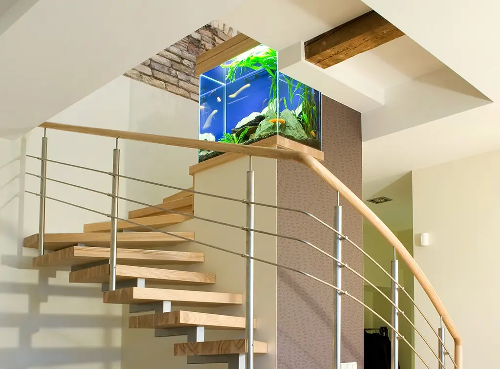 cool fish tank idea