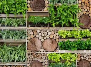 garden trends living wall