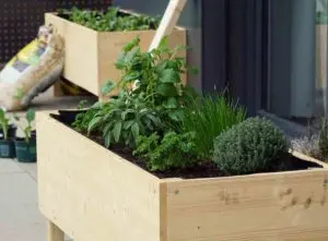 How to build a raised garden bed blog