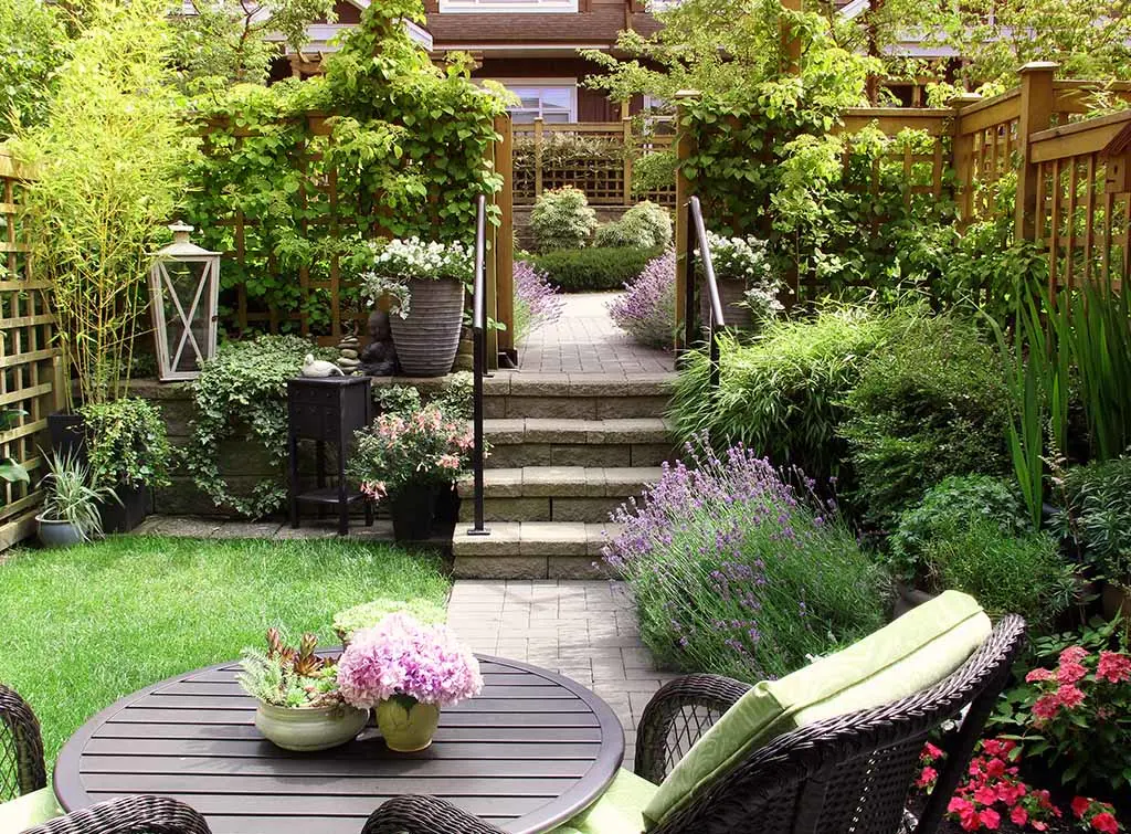 Vertical garden patio ideas