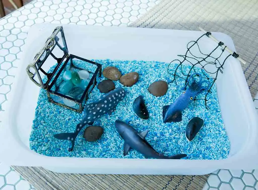 Sensory water tub and textures
