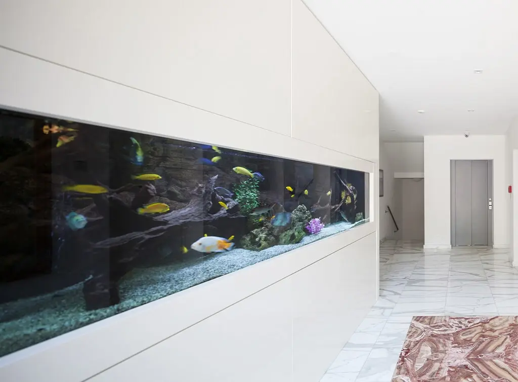 wow factor fish tank in a landing or hallway