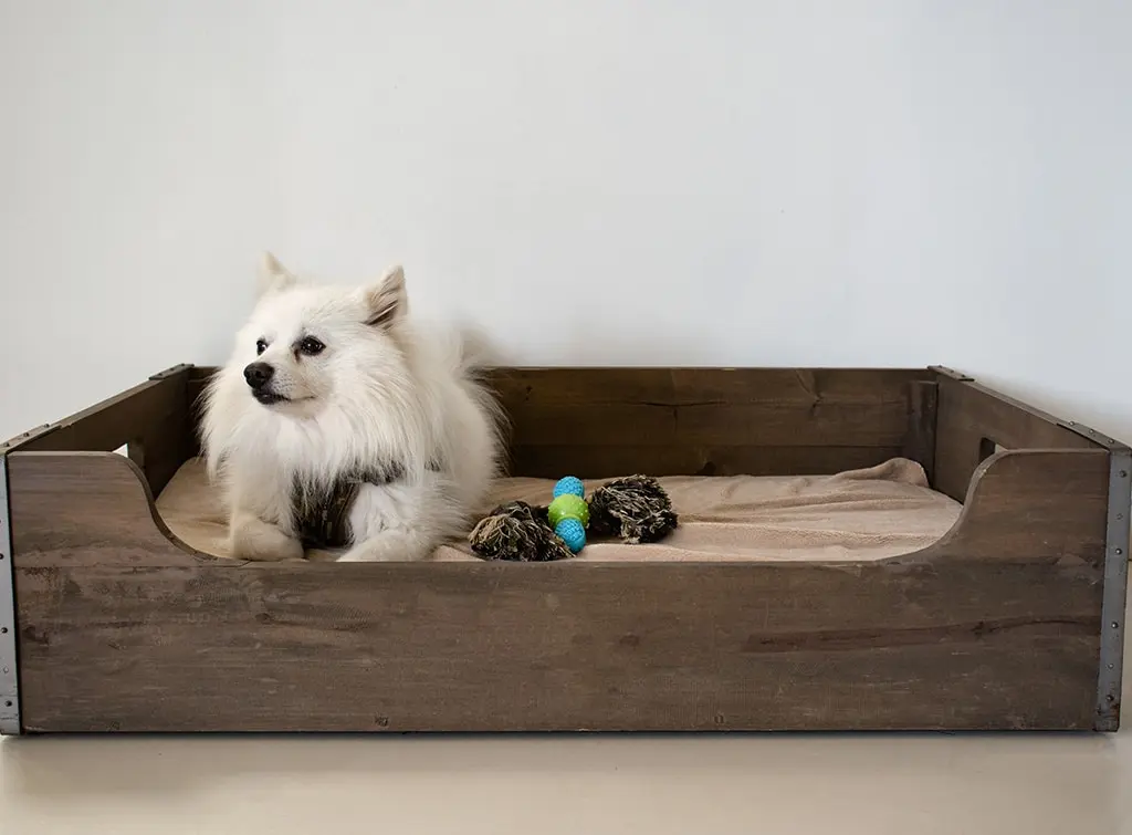 Wood dog bed ideas