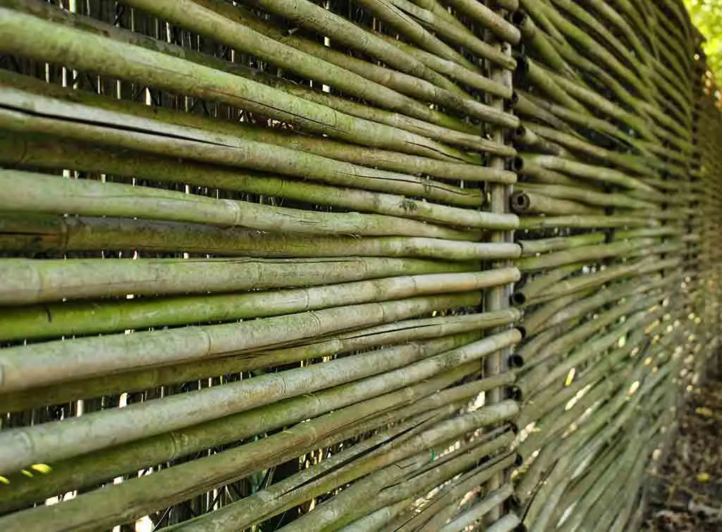 Bamboo fence privacy screen idea