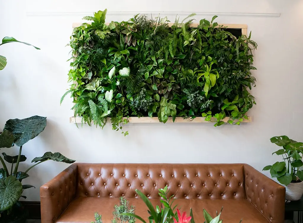 living green wall