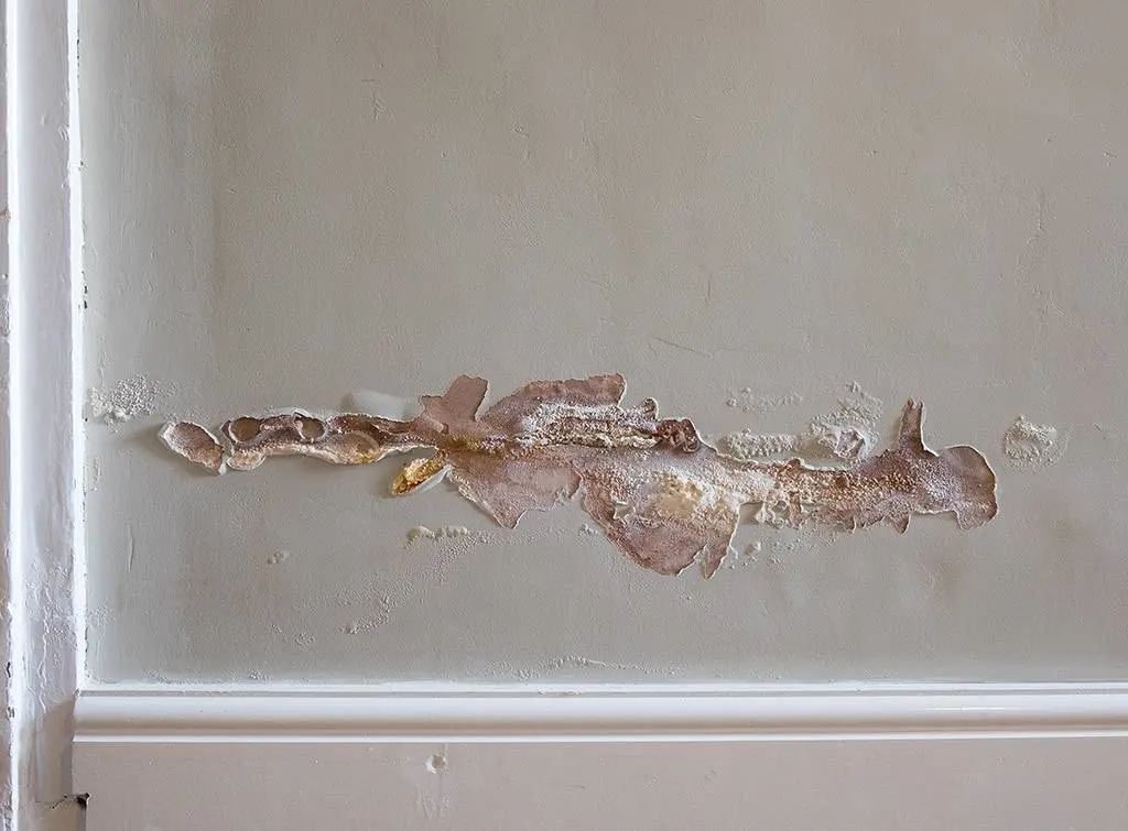 sign of rising damp